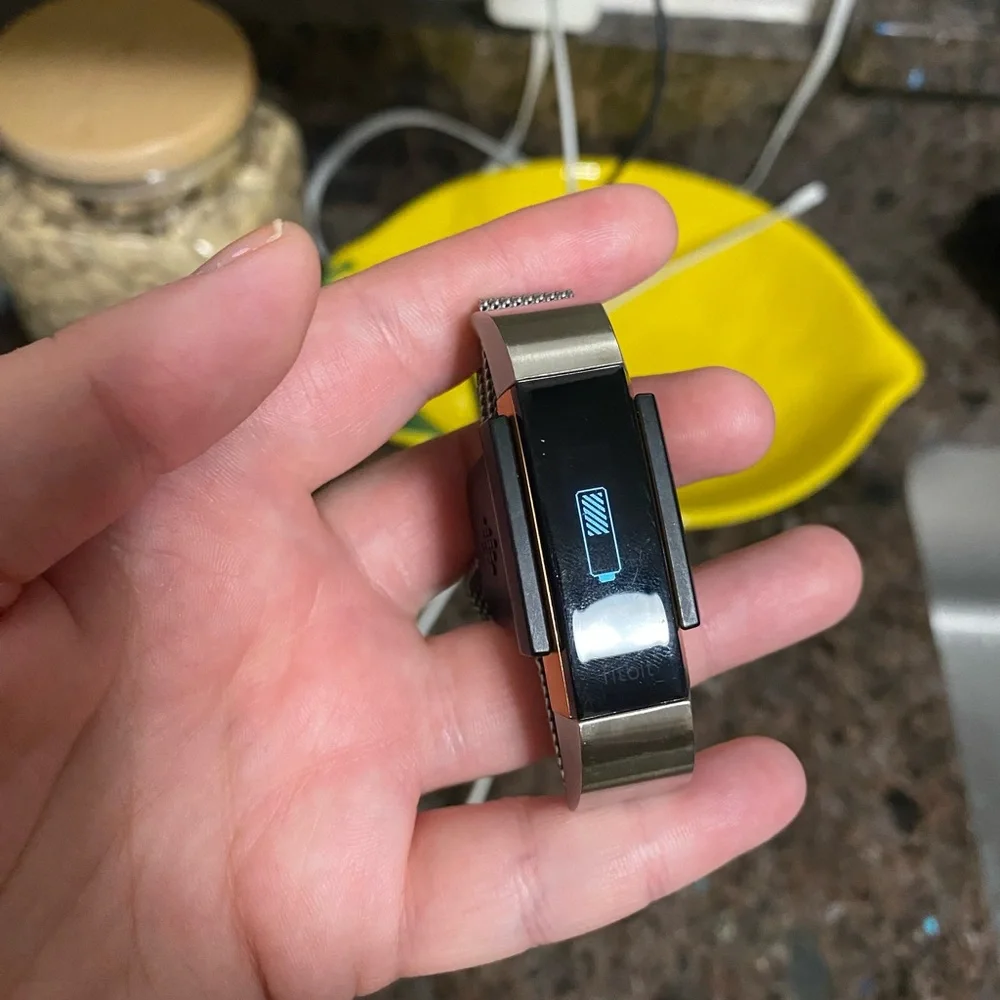 Fitbit Alta with Silver Magnetic Band and Charger